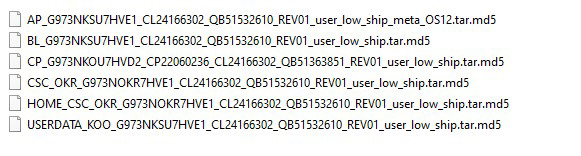 SM-G973N firmware file list 