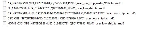 SM-N976B firmware file list
